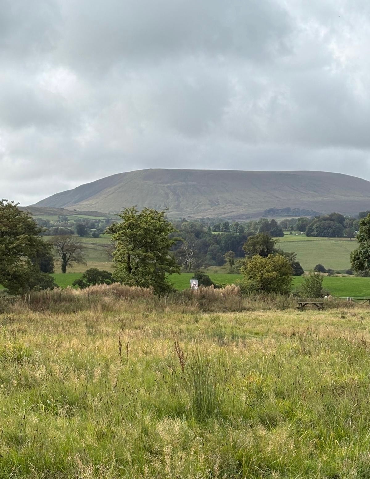 Pendle Hill rising above the fields near Todber Valley