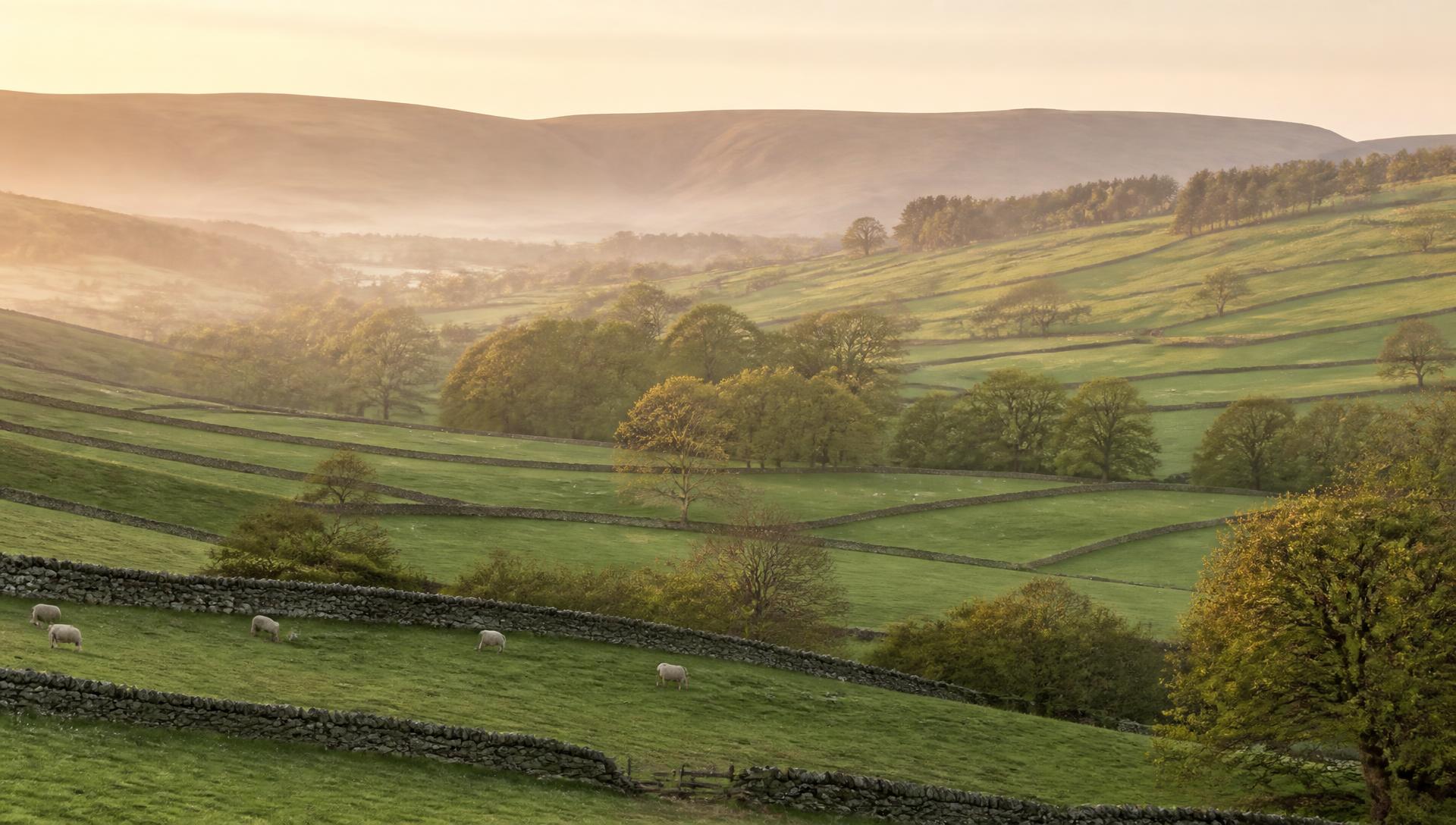 Mist over the rolling fields and drystone walls around Todber Valley at sunrise
